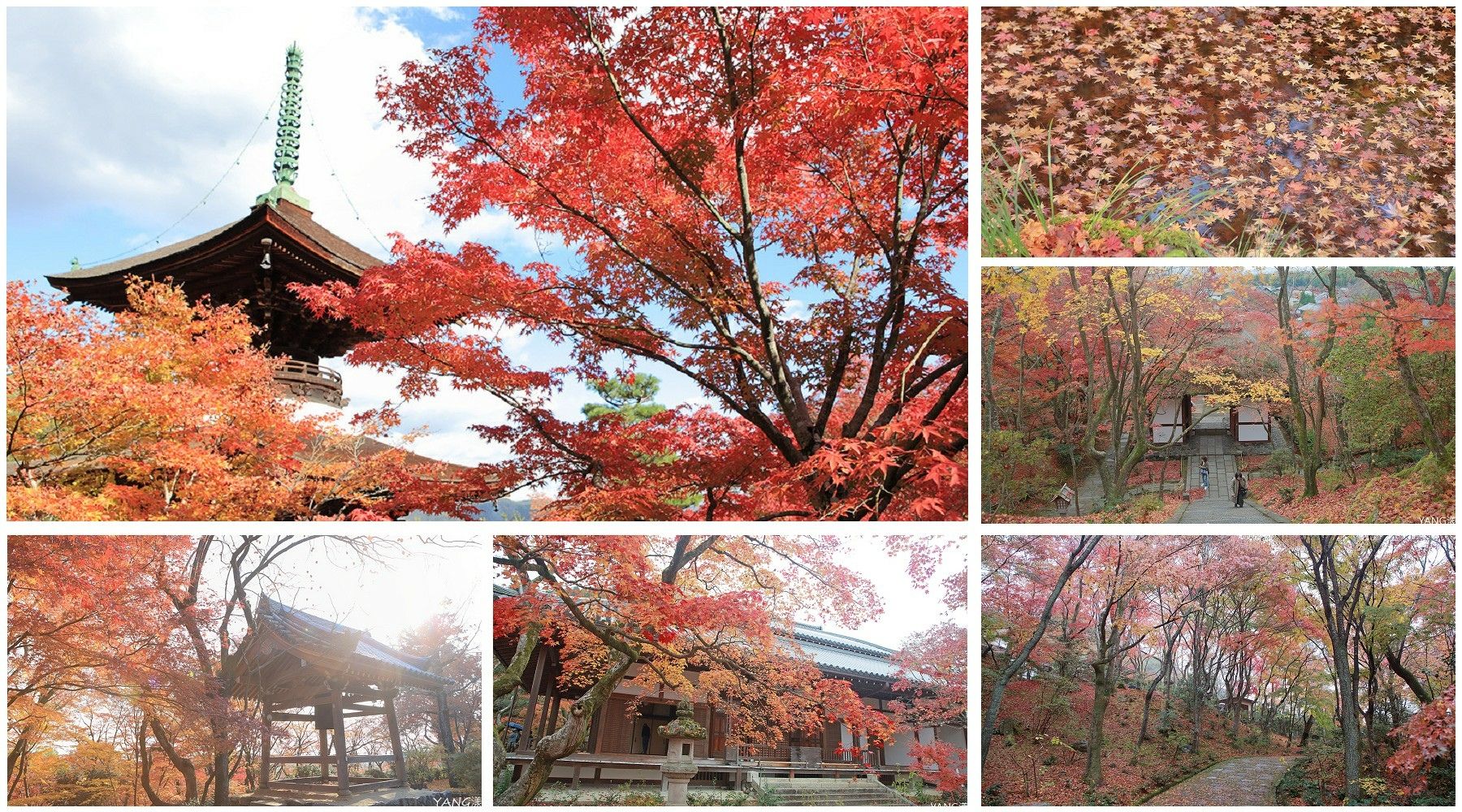 小倉山常寂光寺,嵐山賞楓必去景點