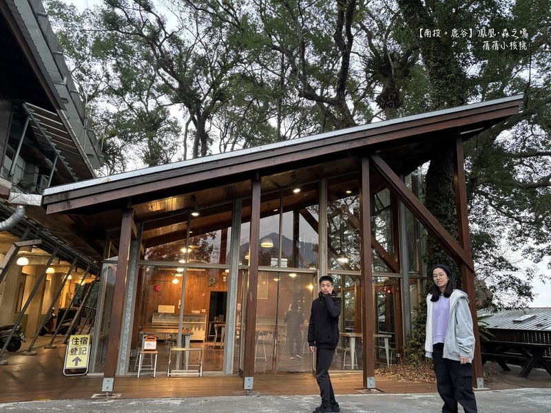 鳳凰‧森之鳴⎪南投鹿谷鳳凰自然教育園區⎪遠離都市塵囂，入住會呼吸的綠建築木屋，一泊二食、夜間生態導覽，園區內茶花、櫻花、辛夷、夜空、日出、雲海.....更迭上陣，美不勝收！