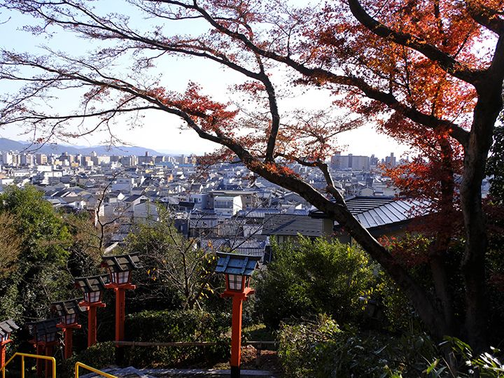 日本12月楓(二十六)‧船岡山、大德寺、妙覺寺等(Funaokayama & Daitoku-ji)