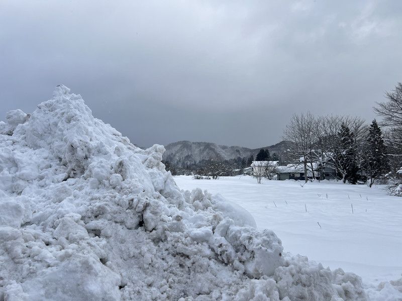 日本最美的雪景,秋田內陸緃貫鐵道, 真的太美了...意外的插曲