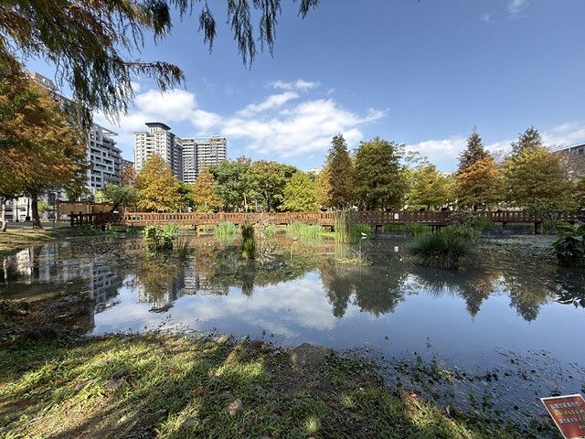 新莊一日散策,2026頭前運動公園落羽松×六扇門時尚湯鍋暖胃美食記錄。