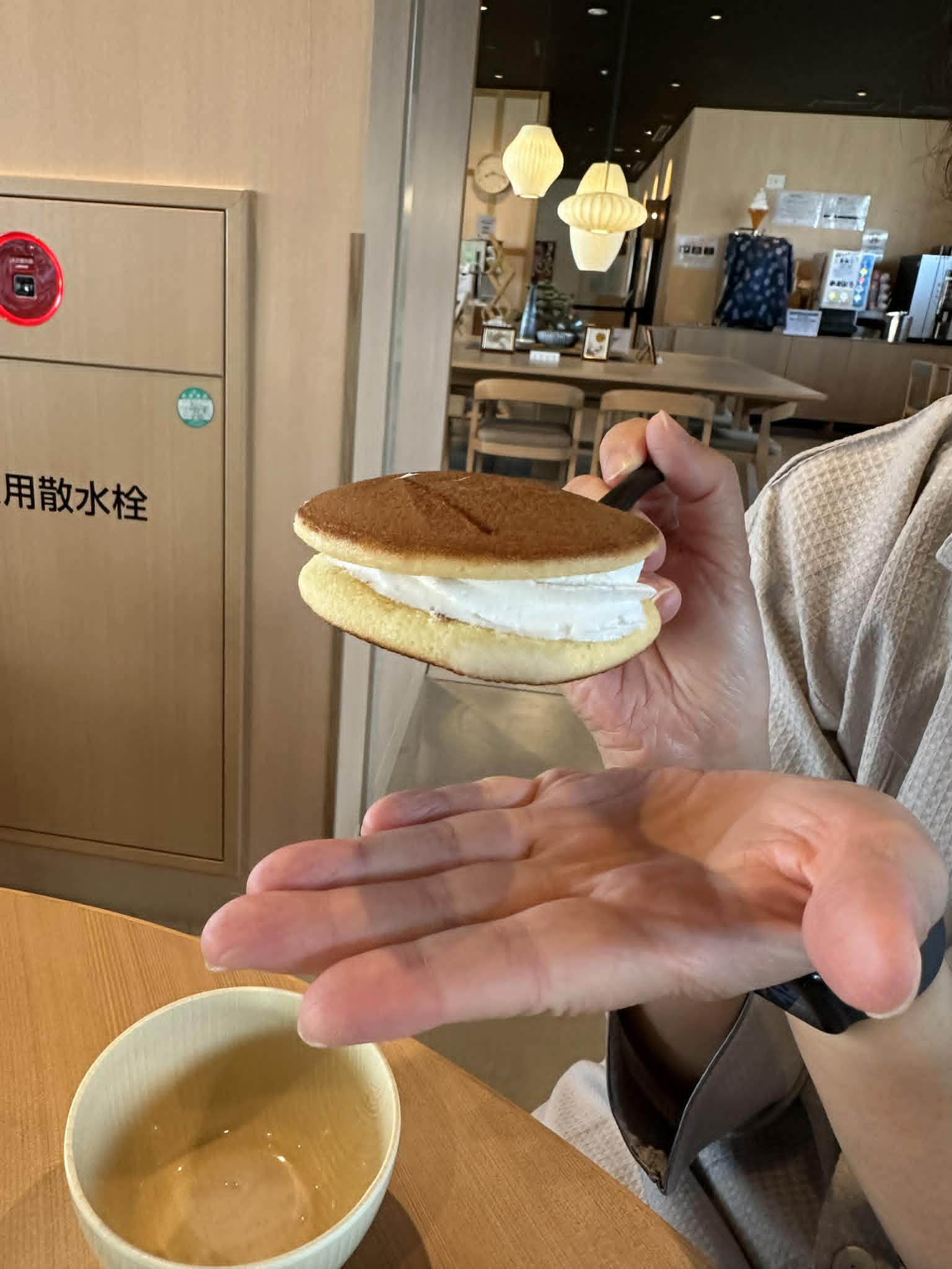 115年07月17日(五) 好山好水好溫泉日本愛媛香川之旅_第六天