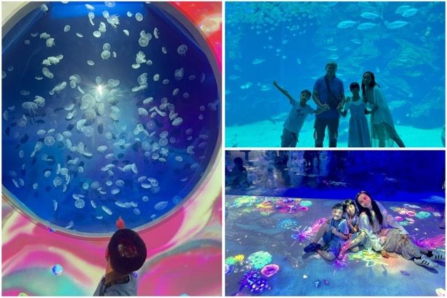 2025年Xpark桃園水族館最新活動《Ocean Light》:沉浸式海洋燈光秀等你來體驗!Xpark 優惠門票, 交通資訊, 參觀路線!