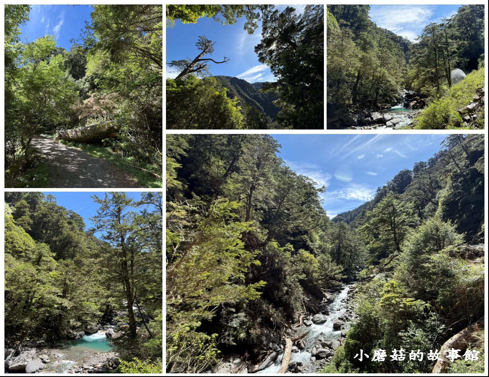 仁愛鄉 - 合歡溪步道丨遠得要命的「合歡溪步道」有著最原始純淨的山林步道，沿途可見鐵杉林和不錯的展望景色。
