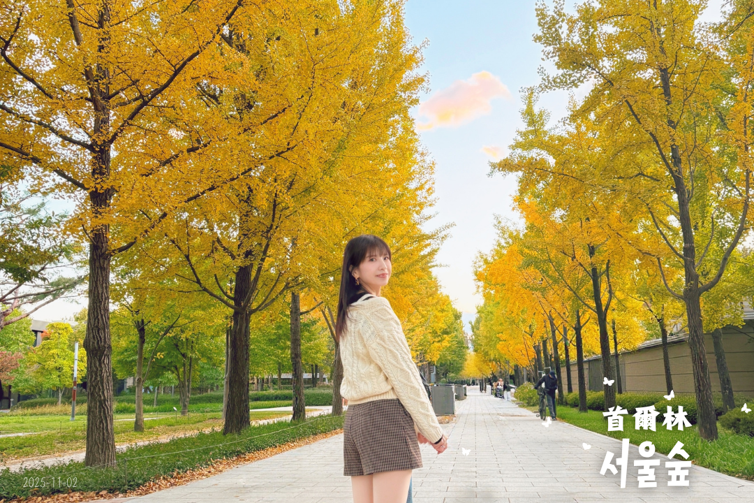※景點※ 首爾林
